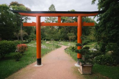 Őszi japán napot rendeznek az SZTE füvészkertjében szombaton