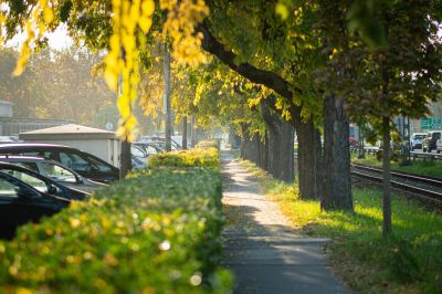 Folytatódik a 20 fokos tavasz a héten, vasárnap jön a hideg