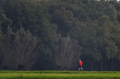 Holnap is velünk marad a jó idő