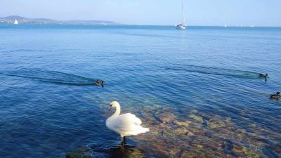 Új strand nyílik Balatonfüreden