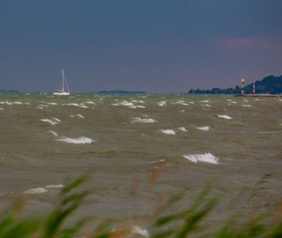 Ennyi ember fulladt az idén a Balatonba