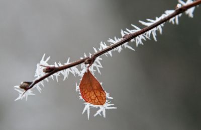  Hajnali fagyokra kell készülnünk november első napjaiban  