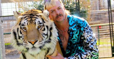 Börtönszerelem: eljegyezte rabtársát Joe Exotic - a rácsok mögött tartanák az esküvőt is