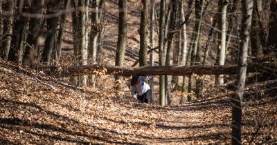 5 szuper kirándulás az őszre a parktól a vízesésen át a hegyekig