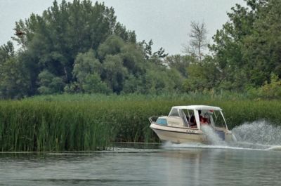 Egyre nehezebbé teszi a horgászatot a vízi közlekedés a Tisza-tavon