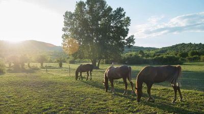 Rohanás a gumishoz – fagyos napok jönnek