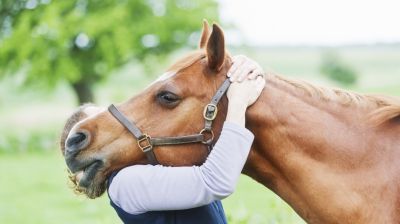 A lovakat lelövik, ugye? Mára teljesen eltűntek a magyar földekről – miért mondtak le róluk a gazdák?