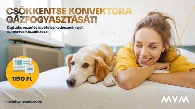 A régi konvektor új élete. A gázkonvektor korszerűsítése fillérekből (X)