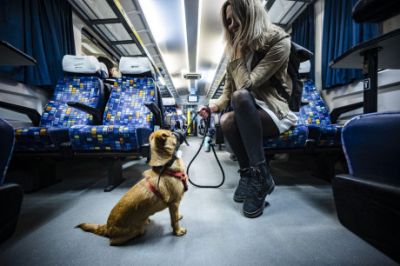 Mától minden InterCityn egyszerűbb kutyával utazni