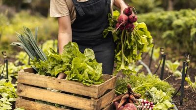 Teret nyerhet a biogazdálkodás – indul a támogatási program