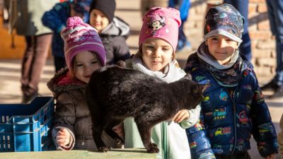 Felfedezték a Kemence Egyesület farmját az ovisok +fotók