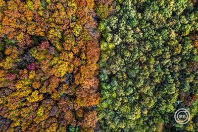 Kiránduláshoz nem kell jobb a hétvégi időjárásnál 