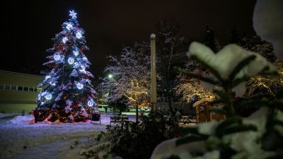 Szeretnéd, hogy a te ablakod is a karácsonyi díszek közt legyen? Akkor jelentkezz!