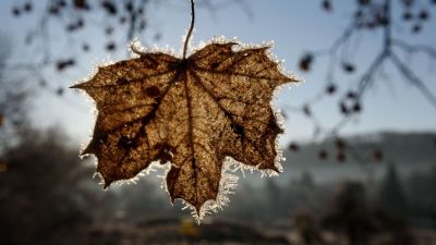 Csípős hétvége elé nézünk, most már kellhet a télikabát + videó