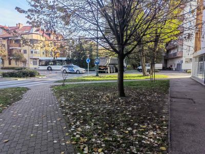 Oldalról nekiment egy busznak egy teherautó, három ablakát betörte, egy ember megsérült