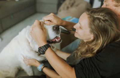  A kutyája érzi meg, hogy bántak önnel a szülei gyerekkorában  