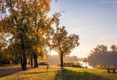 Nap képe: festői késő délután a Mártélyi holtágnál