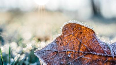 Szürke november: meg fogunk fagyni és a ködtől látni sem fogunk