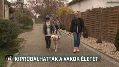 Vakvezető kutya tanítja a gyerekeket a látássérültek életéről