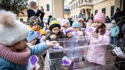 A koraszülöttekért dobog ötszáz szívecske - galériával, videóval