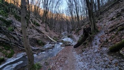 Dera-szurdok – Vadregényes patakvölgy a Pilisben