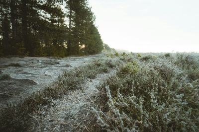 Változékony időnk lesz a hétvégén: napsütésre és ködös, borongós időre is van kilátás