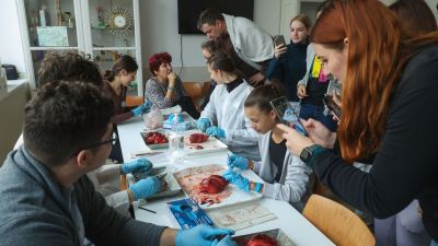 Labdát lebegtettek, marhaszemet boncolhattak a látogatók–galériával, videóval