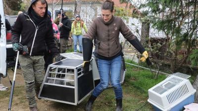 Megrázó fotók: a csöngei szaporítótelep után Csapodon várta horror az állatvédőket