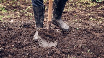 Még 18 sem volt, mikor elkapták a kis dílert - társa elásta a bizonyítékokat