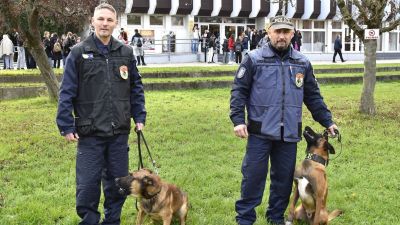 Rendőrkutyák akcióban: Győr-Moson-Sopronban is mintegy tíz négylábú szolgál – Videó