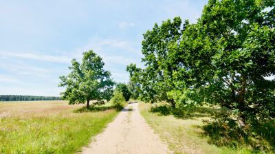 Súlyos gondok vannak a vízzel ebben a magyar térségben: ez lehet a megoldás?