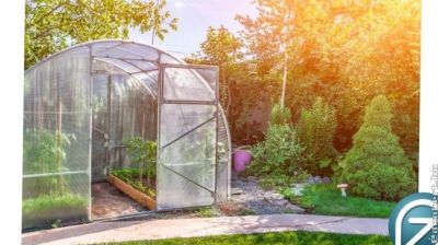 A fóliasátrak központi szerepe a mezőgazdaságban