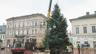 Helyére emelték Szeged karácsonyfáját – videóval, galériával