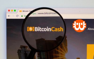 Bitcoin Cash (BCH) árfolyam elemzés 11.21.