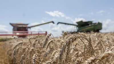 Jelentős fejlődést mutat az agrárium