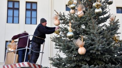 Karácsonyfa új helyen Mosonmagyaróváron: feldíszítették a Dobos család ajándékát – fotók