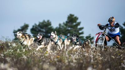 Különleges versenynek ad otthont a következő napokban Kaszó