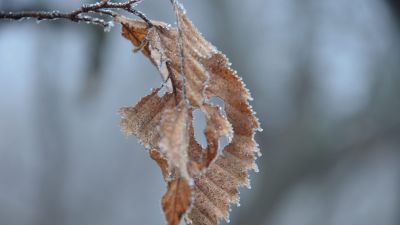 Jönnek a durvább mínuszok az éjszakákra