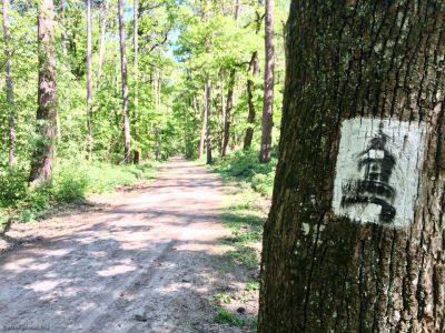 Szombatonként Sopron környéki honsimereti sétákat indít a Maderspach Kommandó