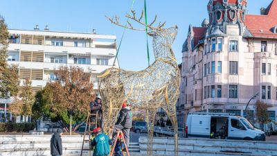 Megérkezett az óriás csodaszarvas Szegedre