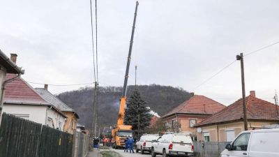 Nézze meg, hogy vágták ki a 20 méteres fenyőt, amelyből az ország karácsonyfája lesz