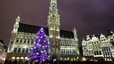 35 éven át gondozta a fenyőfát egy nyugdíjas házaspár, most Brüsszel főterét díszíti