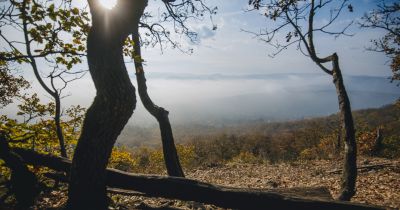 A Dunakanyar egyik legszebb panorámája – Körtúra a Gál-hegyen