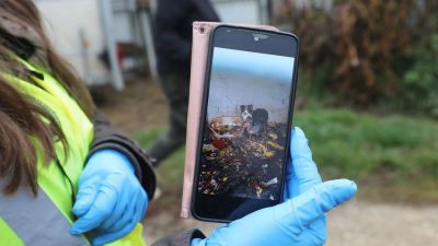 Csönge, Kőszegpaty, Csapod után ma újabb horrortelepre bukkantak az állatvédők