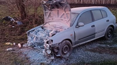 Fának hajtott egy autó Borota közelében