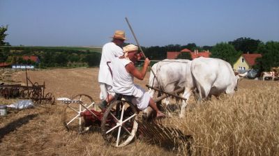 A Krisna-völgyben már meglépték: az önfenntartás lehetne a magyar vidék élhető jövője?