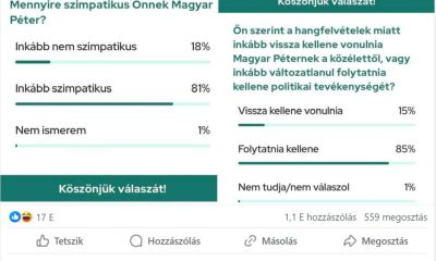 Magyar Péter like farmot szervezett, majd sírva röhögött a feltételezésen, hogy ilyesmi létezik