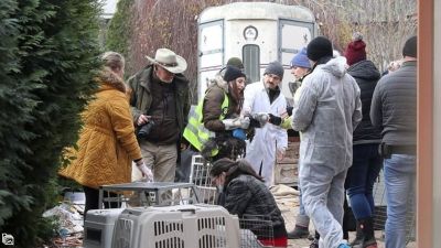 Meglepő fordulat – Szabadlábon a szaporítótelepek osztrák tulajdonosa, kiengedte a bíróság