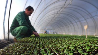 Súlyos igazság derült ki az idei magyar dinnyéről: ezért kellene összefogniuk a hazai termelőknek