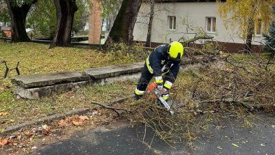 Már áll a karácsonyfa Dunaalmáson